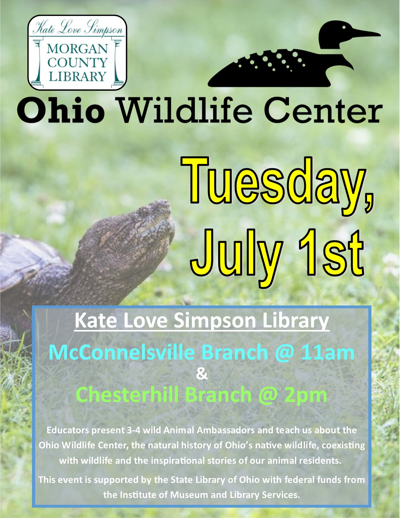 Ohio Wildlife Center